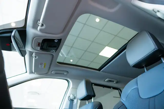 Kia Sorento view 10