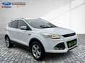 Ford Kuga Trend Klima Tempomat Sitzheizung Anhängekup. Alb - thumbnail 18