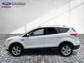 Ford Kuga Trend Klima Tempomat Sitzheizung Anhängekup. Alb - thumbnail 8