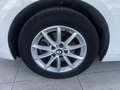 BMW 216 216d Active Tourer Bianco - thumbnail 11