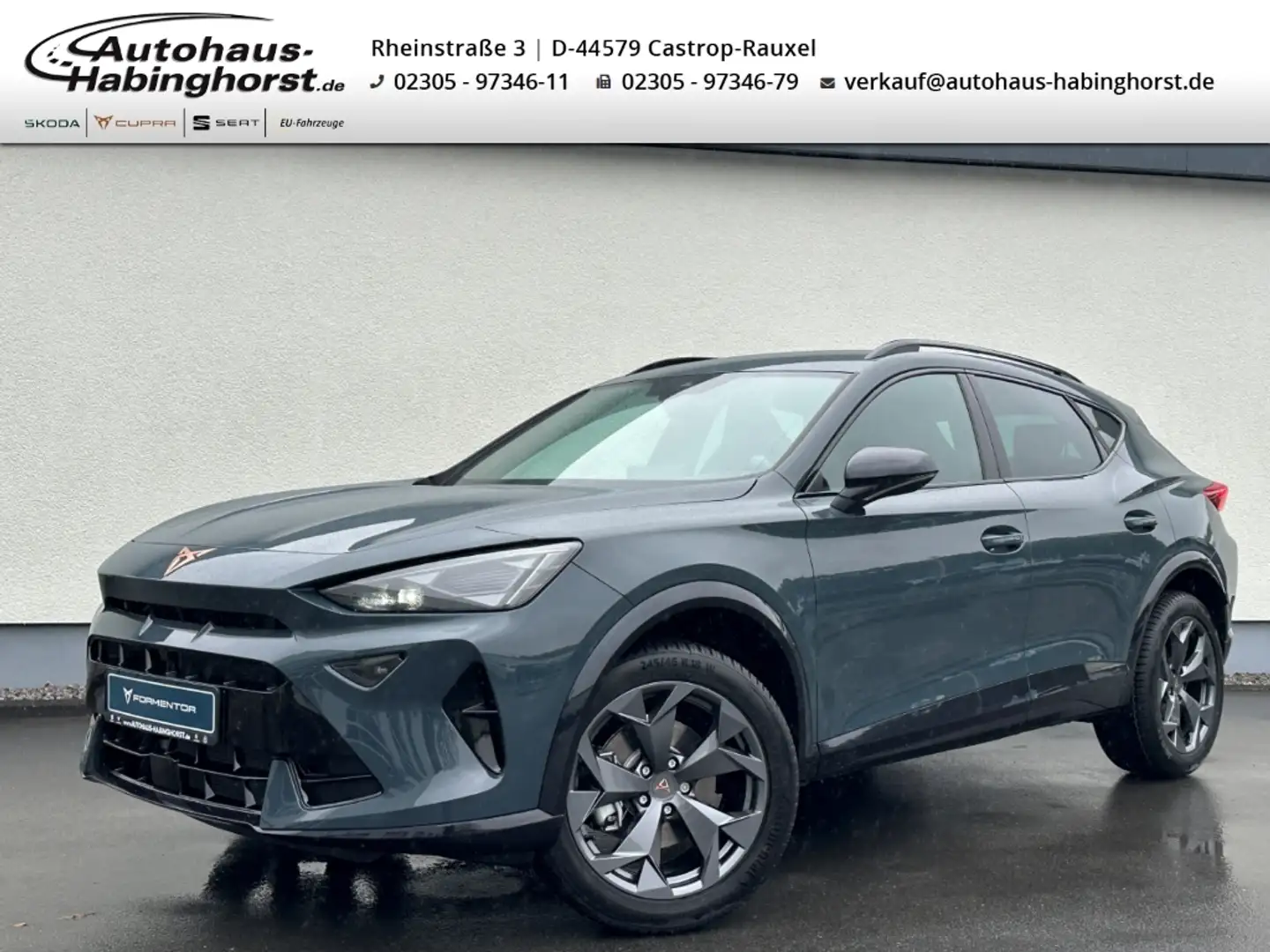 CUPRA Formentor 1.5 TSI Kessy Kamera AHk Sennheiser Alu18 Blau - 1