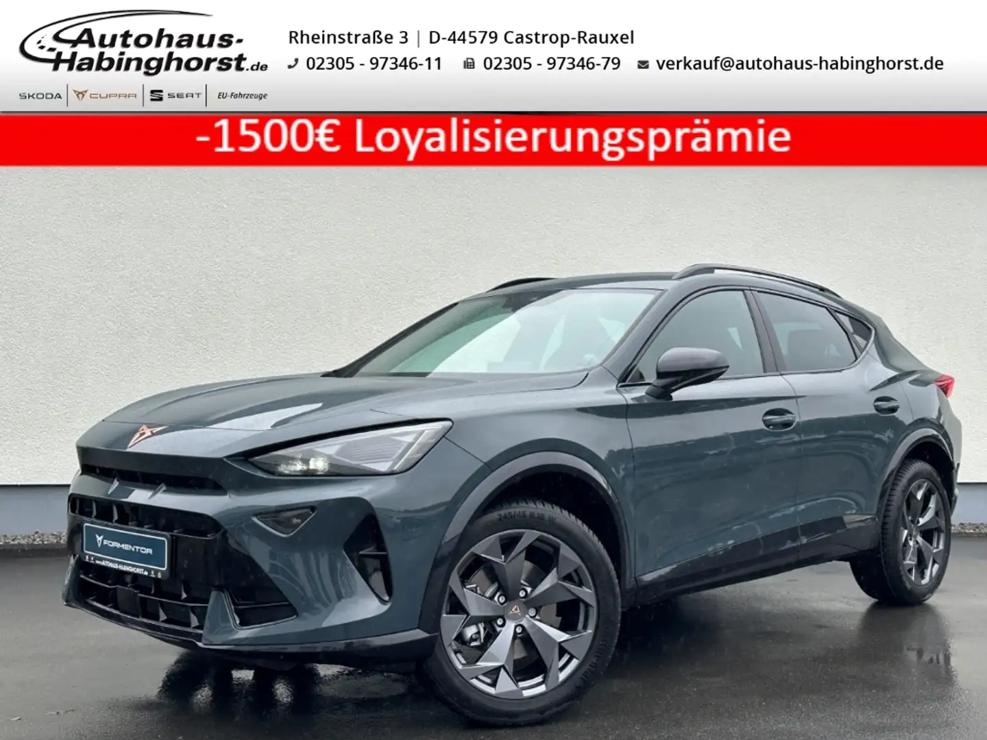 CUPRA Formentor 1.5 TSI Kessy Kamera AHk Sennheiser Alu18 Blau - 1