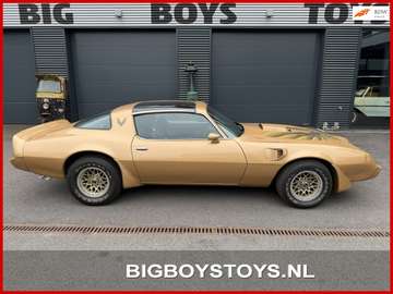 Firebird 6.6 Targa