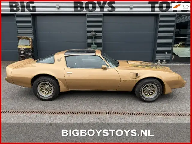 Pontiac Trans Am Firebird 6.6 Targa