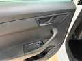 Skoda Fabia 1.0 TSI Combi Style SHZ Freisprech Kamera Weiß - thumbnail 11