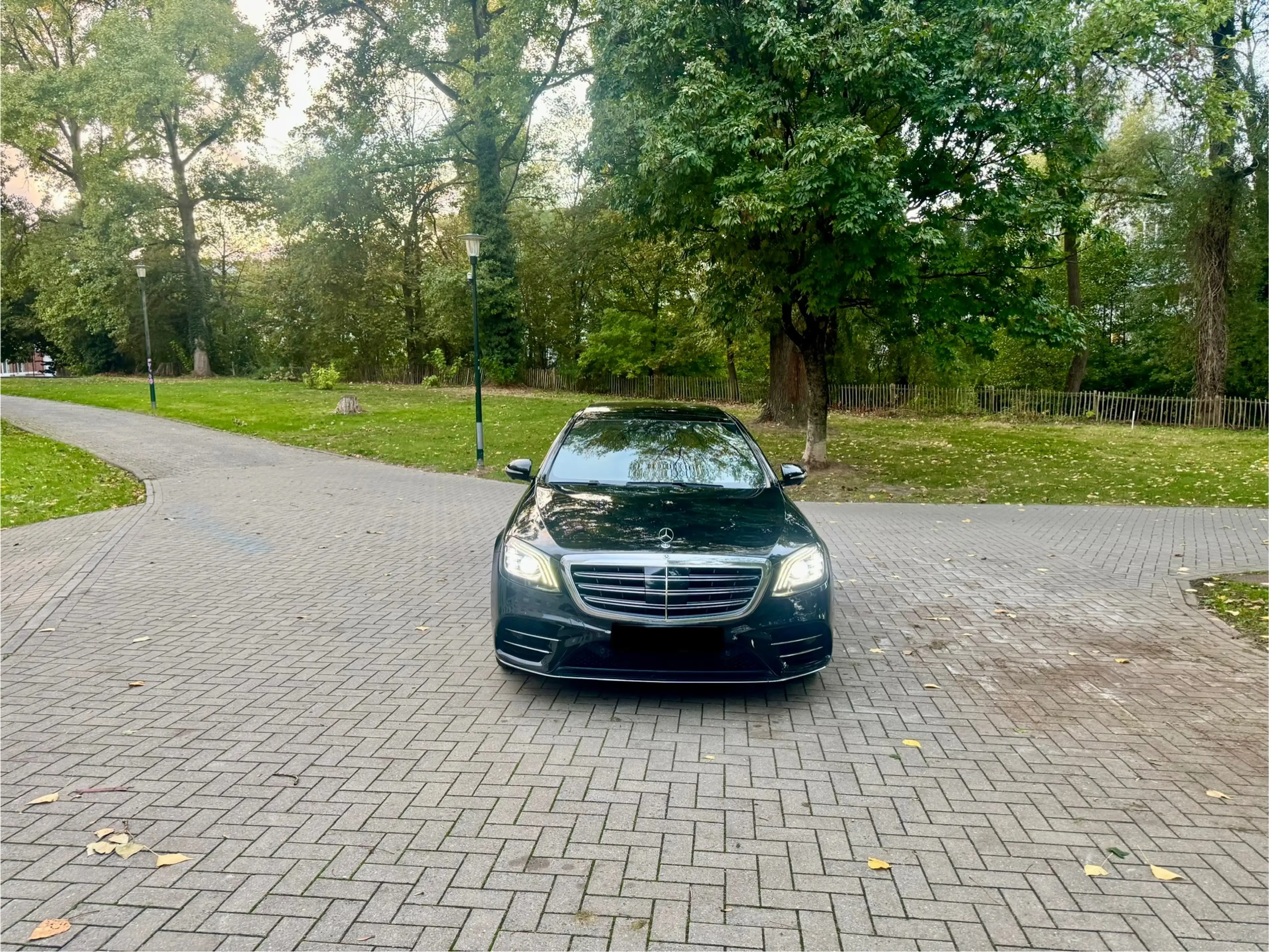 Mercedes-Benz S 350 S Long 350 L d — photo 9