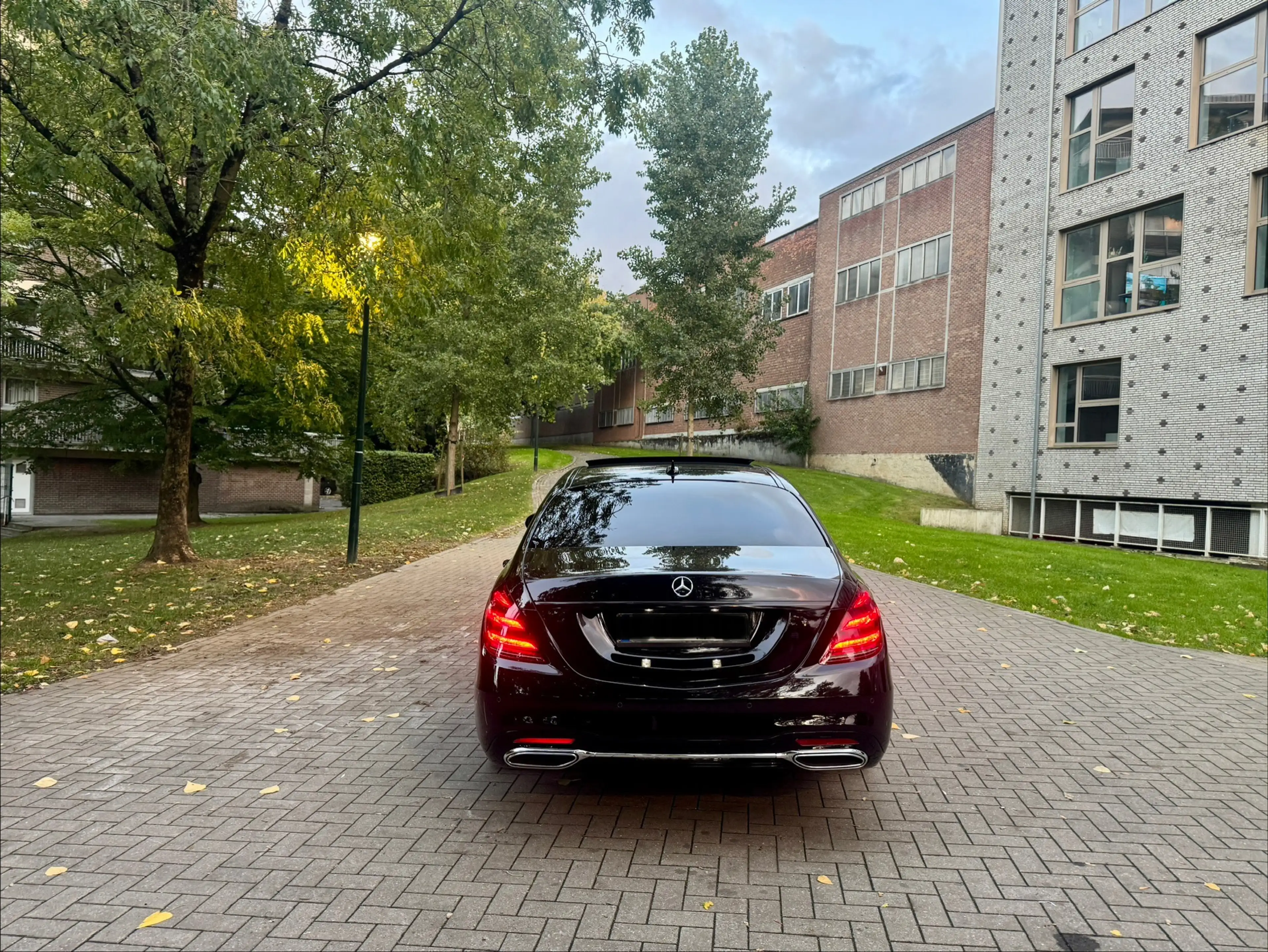 Mercedes-Benz S 350 S Long 350 L d — photo 8