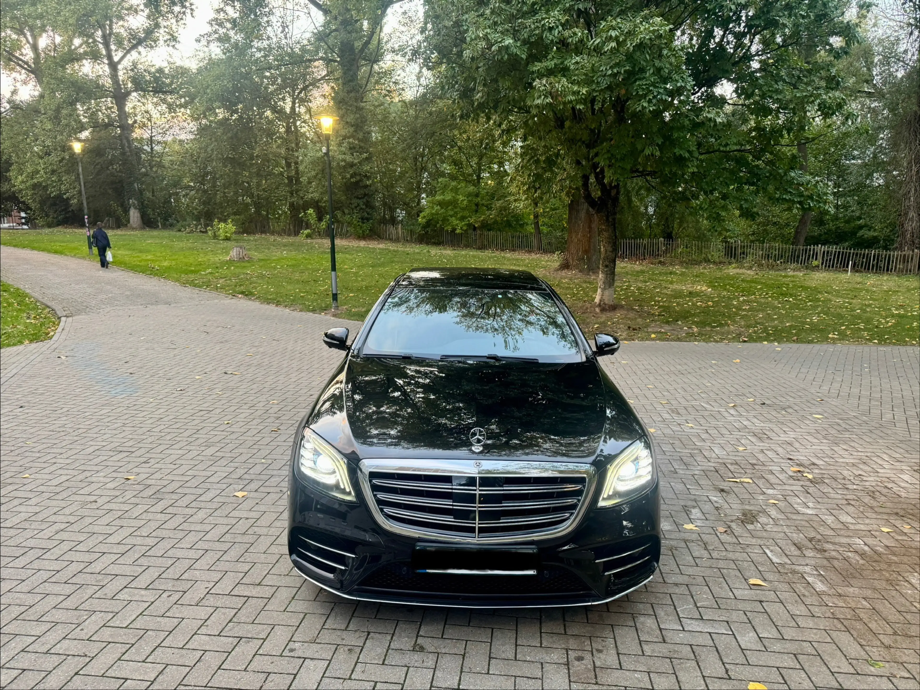 Mercedes-Benz S 350 S Long 350 L d — photo 3