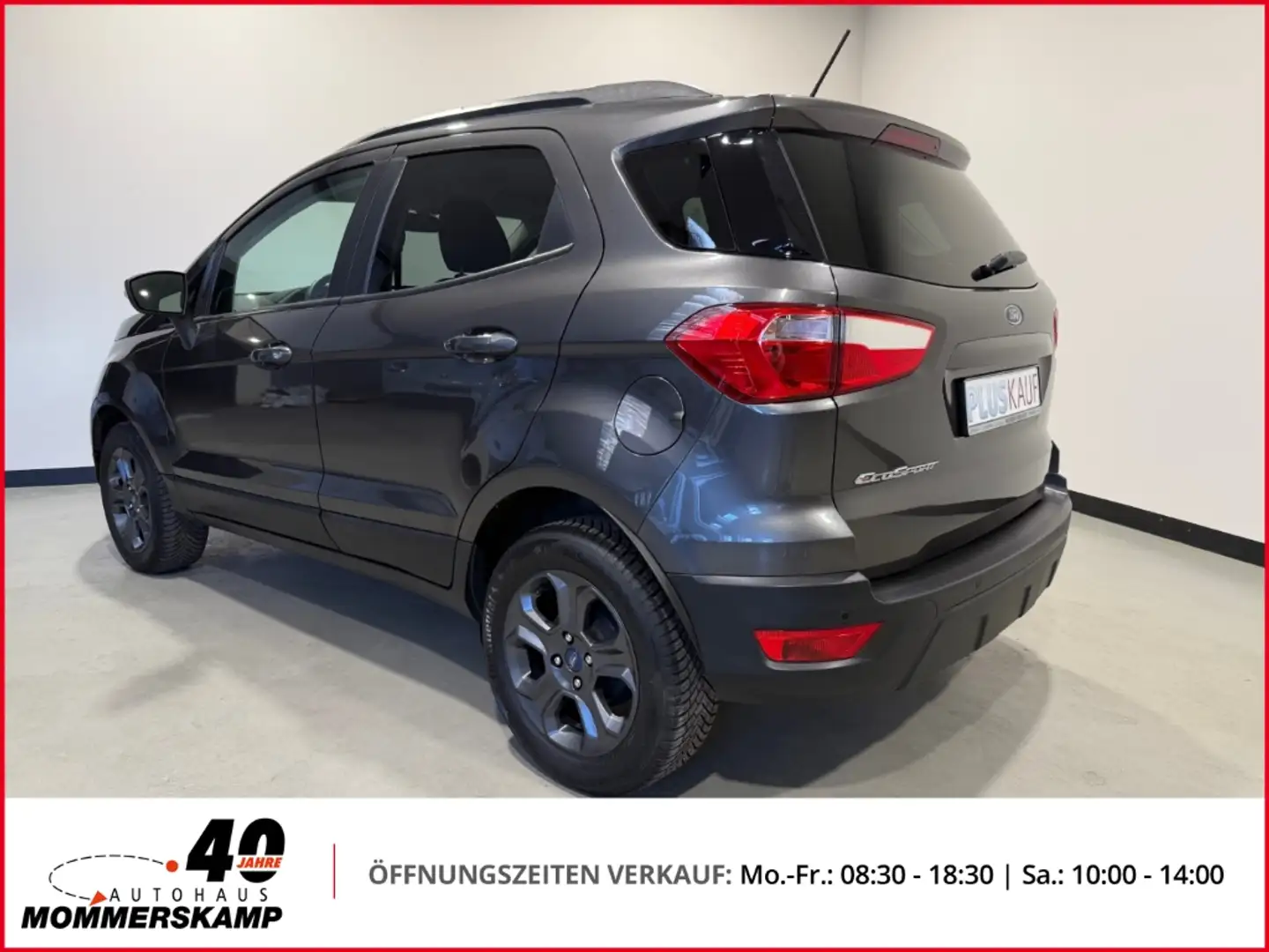Ford EcoSport Cool & Connect 1.0 EcoBoost+Allwetter+Navi+PDC+Kli Grigio - 2