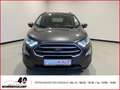 Ford EcoSport Cool & Connect 1.0 EcoBoost+Allwetter+Navi+PDC+Kli Grigio - thumbnail 17