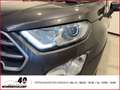 Ford EcoSport Cool & Connect 1.0 EcoBoost+Allwetter+Navi+PDC+Kli Grigio - thumbnail 19