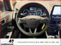 Ford EcoSport Cool & Connect 1.0 EcoBoost+Allwetter+Navi+PDC+Kli Grigio - thumbnail 11