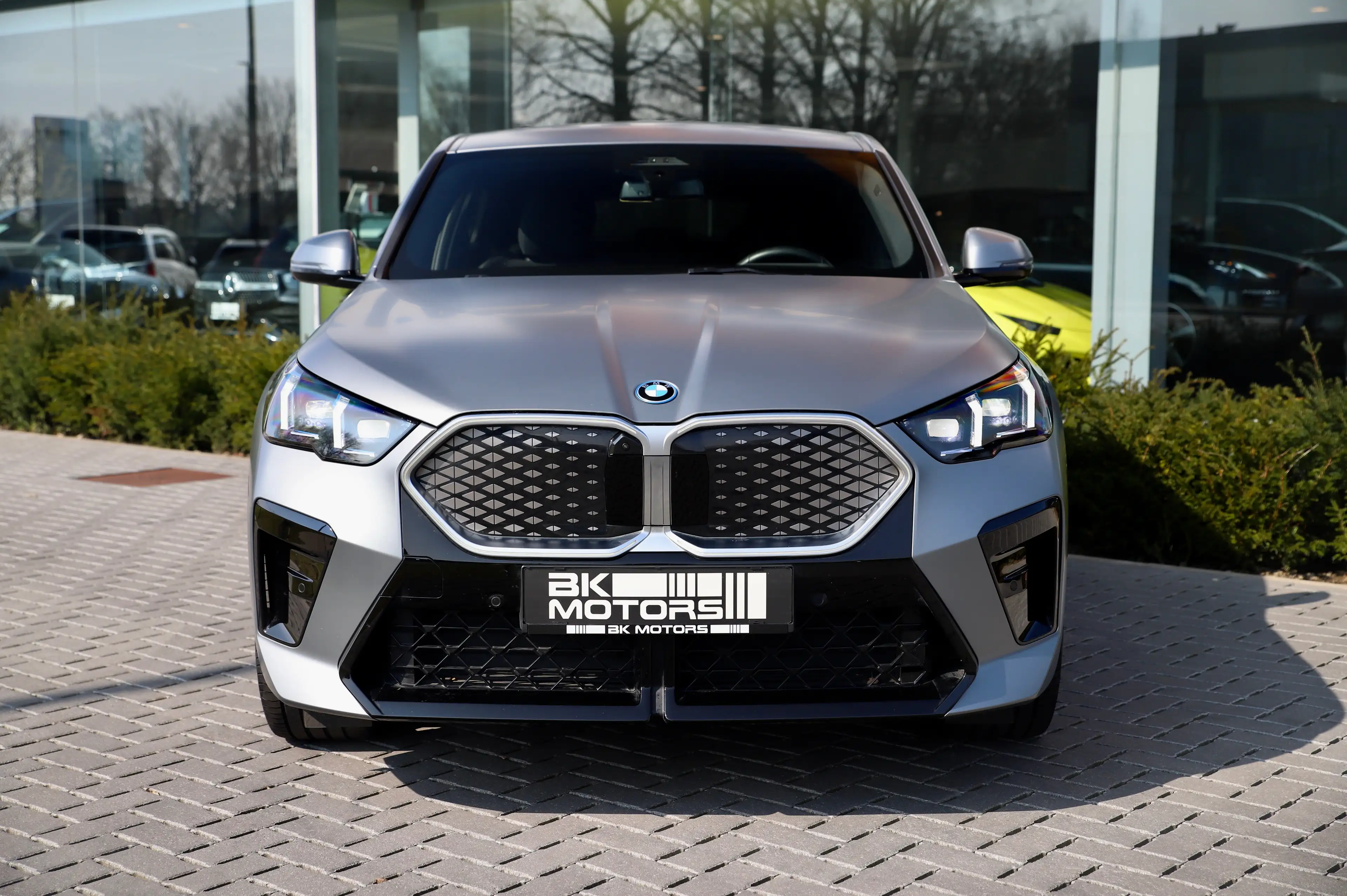 BMW iX2 66.5 kWh xDrive30 I Iconic Glow I Frozen Pure Grey — photo 4