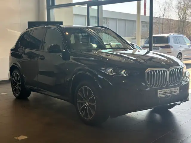 BMW X5 view 11