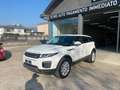 Land Rover Range Rover Evoque Range Rover Evoque 2.0td4 HSE Dynamic 150cv auto Weiß - thumbnail 3