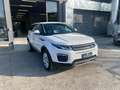 Land Rover Range Rover Evoque Range Rover Evoque 2.0td4 HSE Dynamic 150cv auto Weiß - thumbnail 1