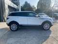 Land Rover Range Rover Evoque Range Rover Evoque 2.0td4 HSE Dynamic 150cv auto Weiß - thumbnail 6