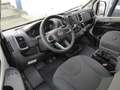 Westfalia Columbus 540D #WINTER #MARKISE #DAB #KAMERA Weiß - thumbnail 8