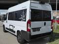 Westfalia Columbus 540D #WINTER #MARKISE #DAB #KAMERA Weiß - thumbnail 4