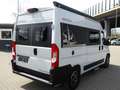 Westfalia Columbus 540D MY23 #WINTER #MARKISE #DAB #KAMERA Blanc - thumbnail 3