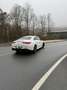 Mercedes-Benz CLA 250 CLA 250 7G-DCT AMG Line Weiß - thumbnail 12