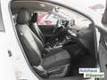 Mazda 2 Kizoku 1.5 Skyactiv G 90 66 KW Weiß - thumbnail 7