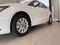 SEAT Ibiza Reference 1.0 TSI Weiß - thumbnail 3