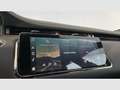 Land Rover Range Rover Evoque 2.0D I4 MHEV S AWD Aut. 163 Rojo - thumbnail 16
