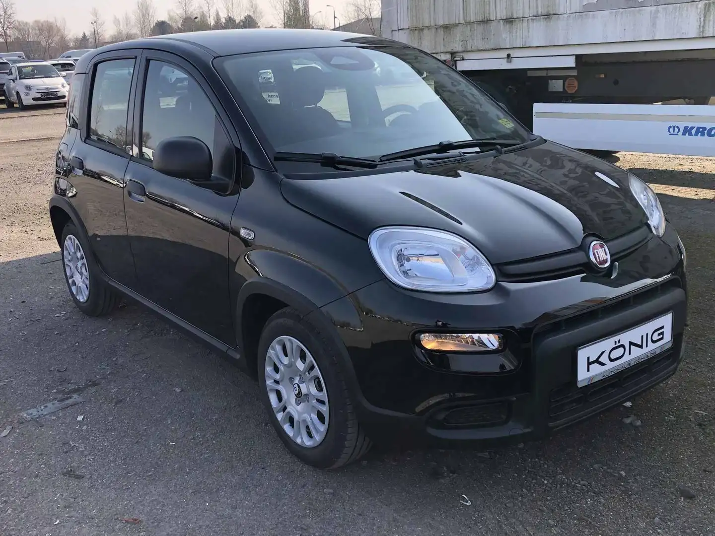 Fiat Panda MY24 1.0 Klima PDC Citypaket Schwarz - 2