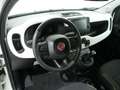 Fiat Panda 1.0 HYBRID PANDINA | Carplay | Cruise | PDC | Airc Wit - thumbnail 19