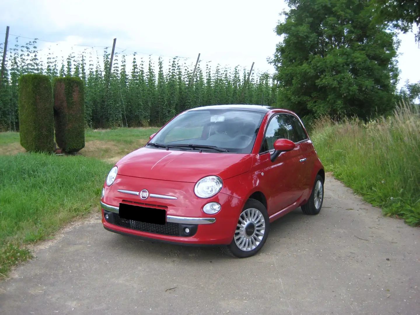 Fiat 500 312 Rot - 1