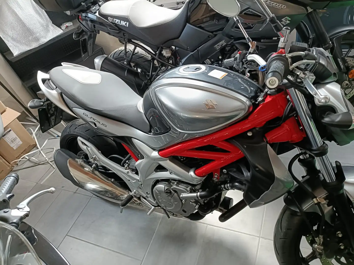 Suzuki Gladius 650 Grigio - 2
