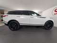 Land Rover Range Rover Velar P400e Dynamic SE | Auto Stahl Wien 23 Weiß - thumbnail 6