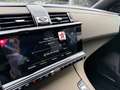 DS Automobiles DS 7 Crossback bluehdi Business CERCHI 19'' PREZZO REALE IVA ESP Bronze - thumbnail 15