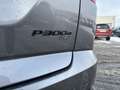 Jaguar E-Pace R-Dynamic SE P300e Mild-Hybrid EU6d HUD AD Panoram Gris - thumbnail 22