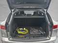 Jaguar E-Pace R-Dynamic SE P300e Mild-Hybrid EU6d HUD AD Panoram Gris - thumbnail 10