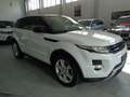 Land Rover Range Rover Evoque 2.2 sd4 Dynamic 190cv auto 9m Bianco - thumbnail 3