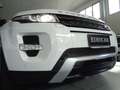 Land Rover Range Rover Evoque 2.2 sd4 Dynamic 190cv auto 9m Bianco - thumbnail 13