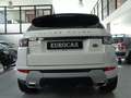 Land Rover Range Rover Evoque 2.2 sd4 Dynamic 190cv auto 9m Bianco - thumbnail 4