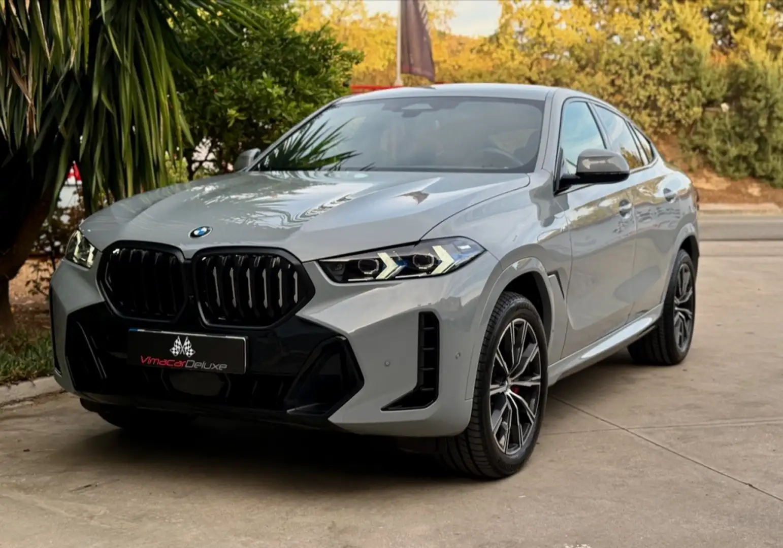 BMW X6 xDrive 30dA M Sport Pro Gris - 1
