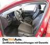 Volkswagen Taigo Life TSI Czerwony - thumbnail 5