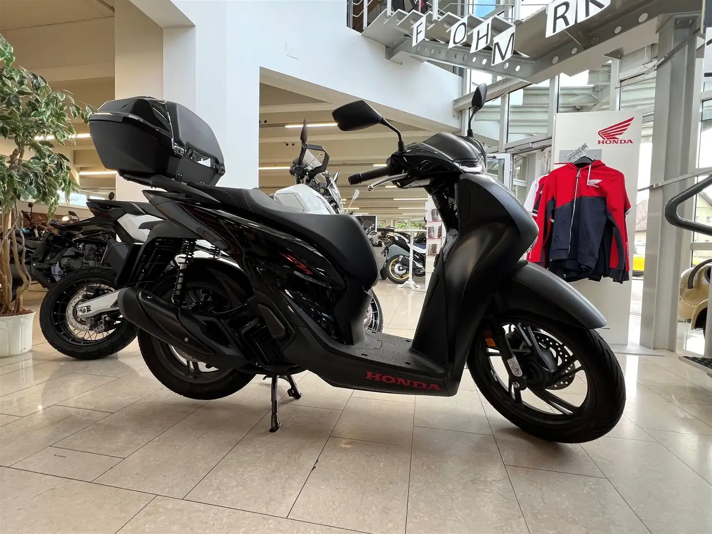 Honda SH 125 Vorführfahrzeug - 2