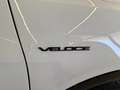 Alfa Romeo Tonale 1.6 TCT6 130 CV VELOCE UFFICIALE ITALIA Alb - thumbnail 15