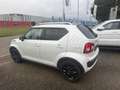 Suzuki Ignis Club 1 HAND Alb - thumbnail 6