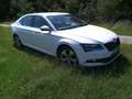 Skoda Superb 2.0 TDI Ambition Alb - thumbnail 5