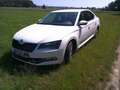 Skoda Superb 2.0 TDI Ambition Alb - thumbnail 2