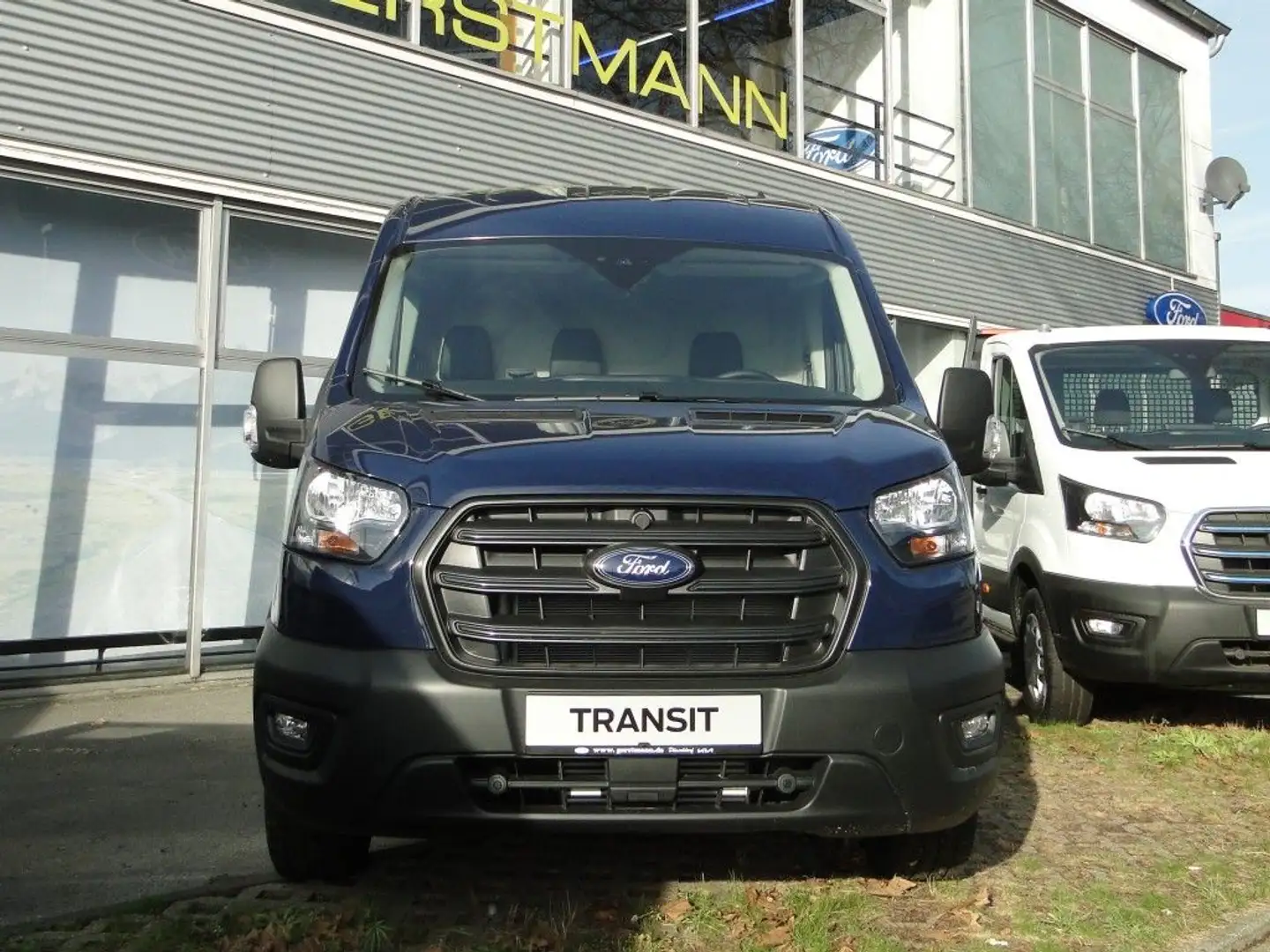 Ford Transit 350 L2H2 Lkw Trend AHK Blauw - 2