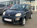 Fiat Panda Base / Klima, Radio, elektr. FH vorn, Bluetooth Schwarz - thumbnail 1