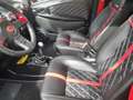 Casalini Trofeo Gris - thumbnail 14