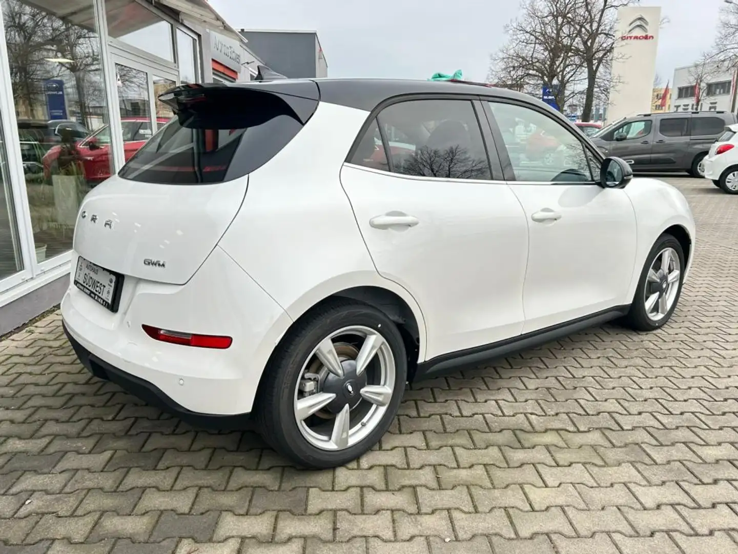 GWM ORA 03 Ora 03 400 Pro Білий - 2